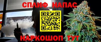 стаф Славгород