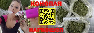 стаф Славгород