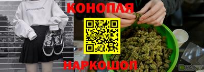 стаф Славгород