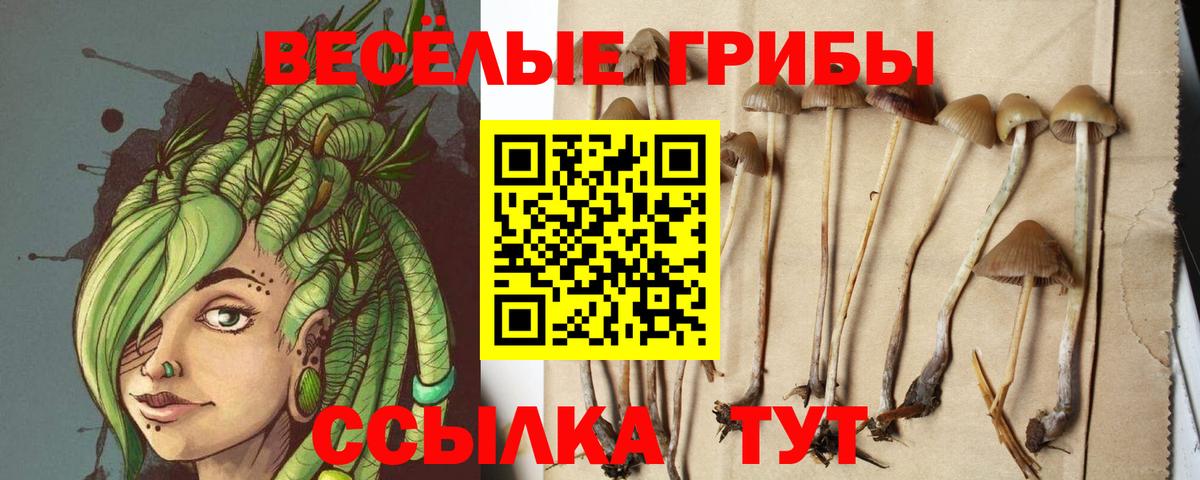 где продают   Вход с VPN  Новочеркасск  Псилоцибиновые грибы мухоморы 